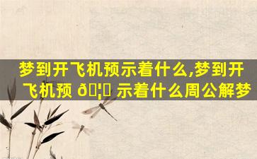 梦到开飞机预示着什么,梦到开飞机预 🦁 示着什么周公解梦